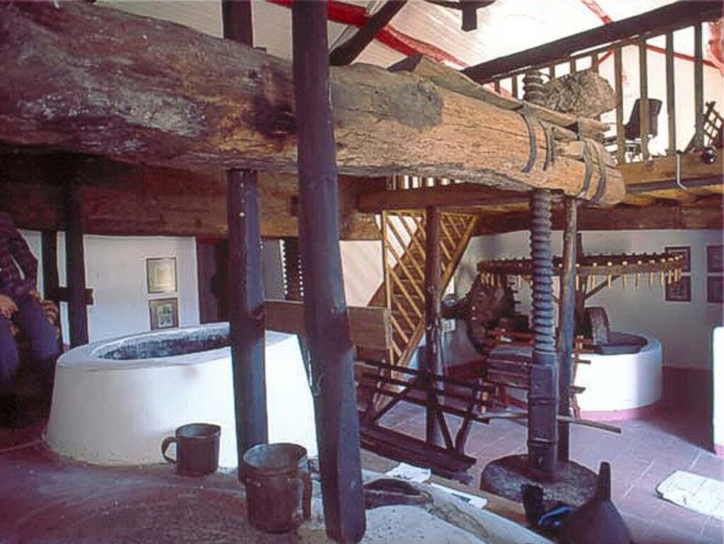museu lagar
