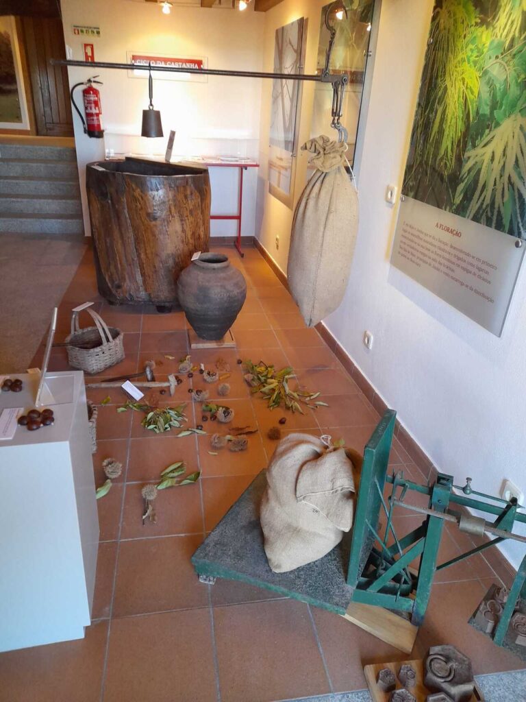 museu da castanha