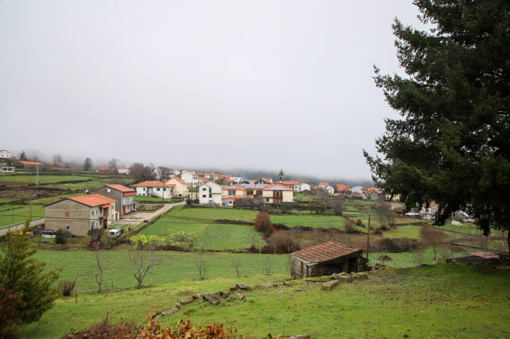 videmonte
