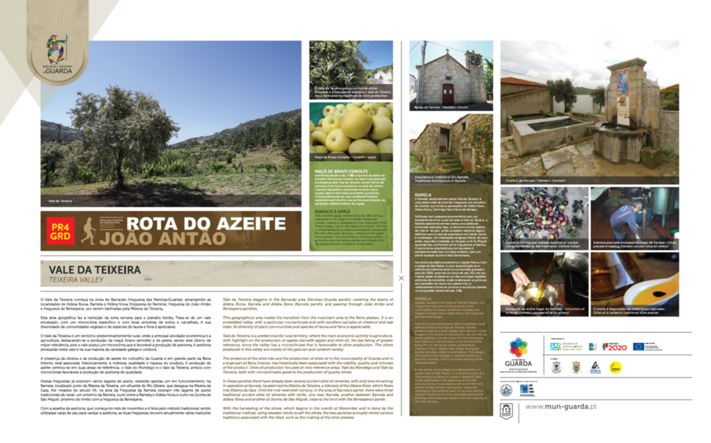 rota do azeite