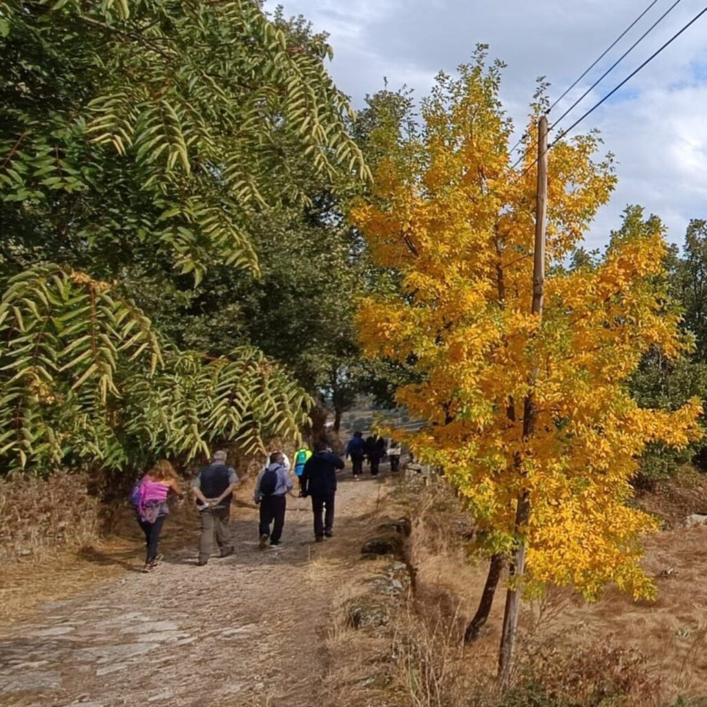 trilho calçada tintinolho