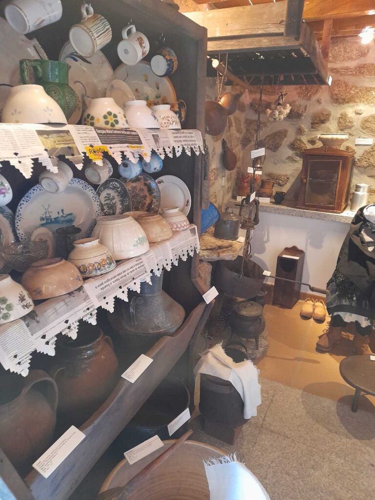 museu da castanha