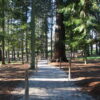 parque da saúde