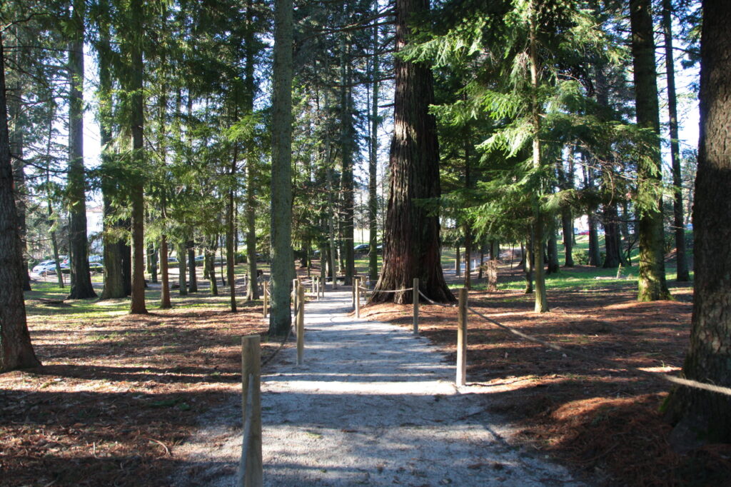 parque da saúde