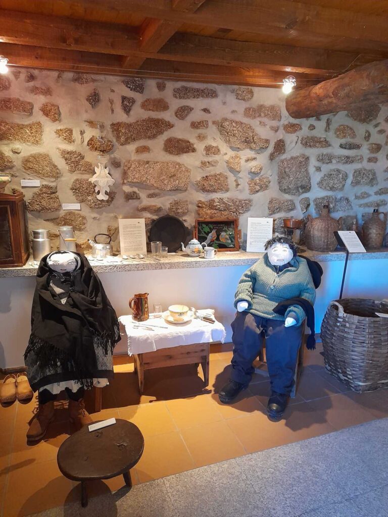museu da castanha