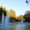 parque da cidade