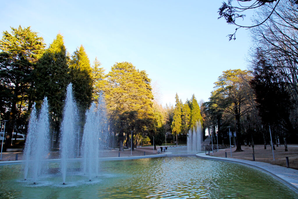 parque da cidade