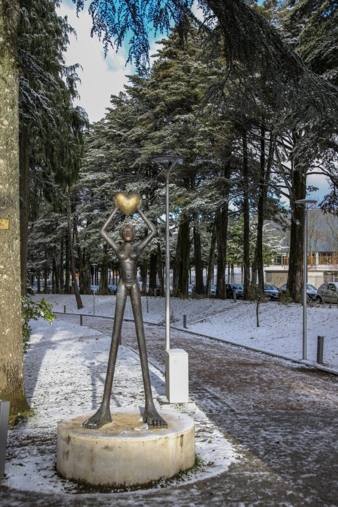 parque da cidade