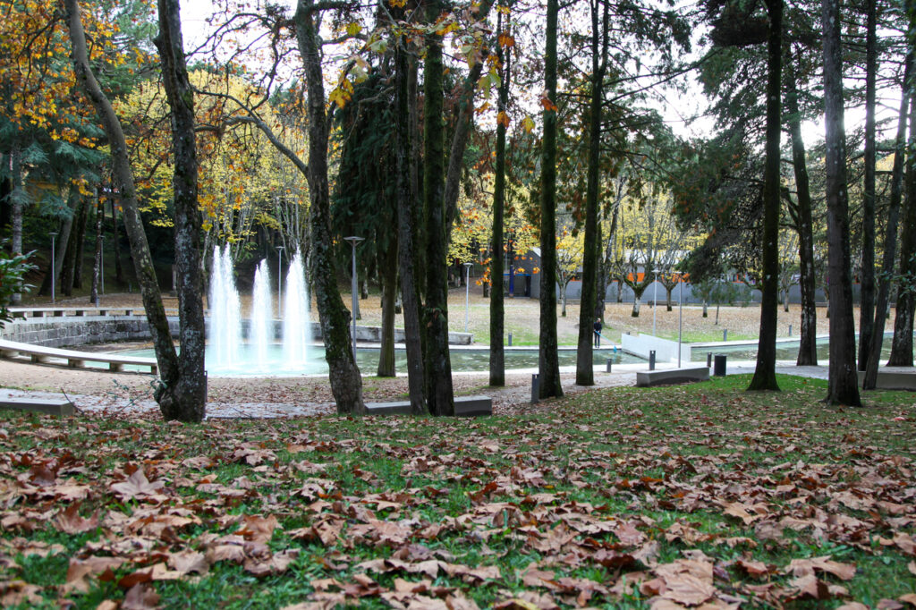 parque da cidade