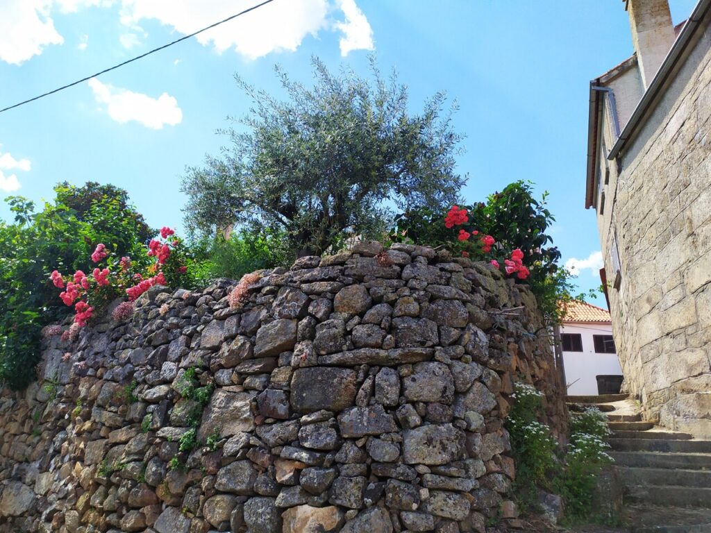 fonte: marmeleiro