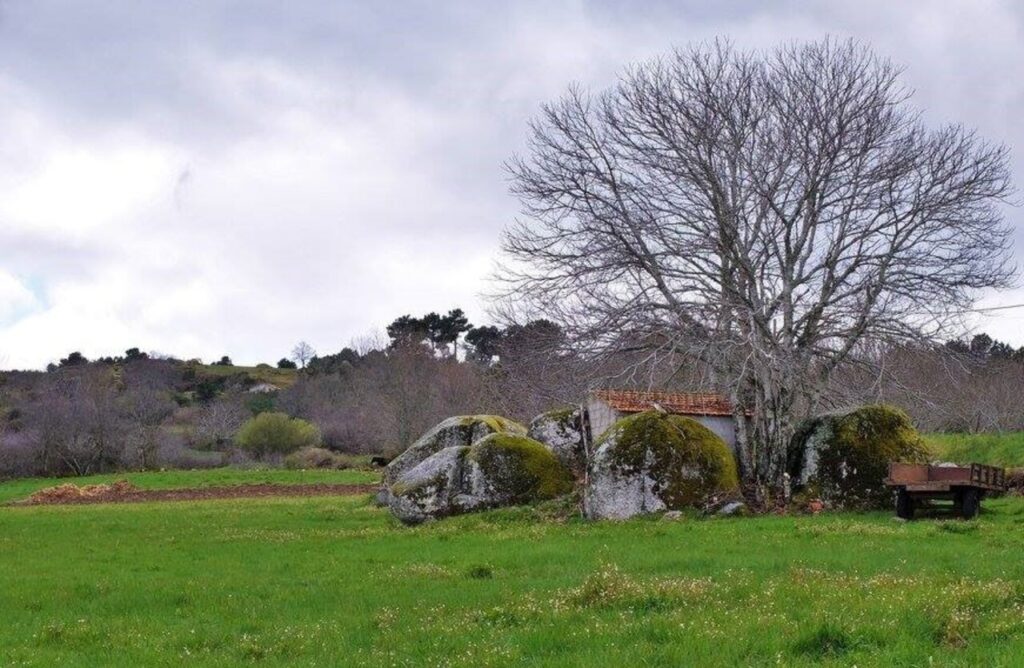 fonte: meios