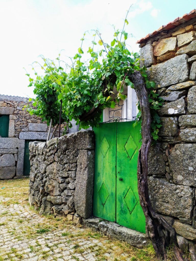 fonte: rocamondo