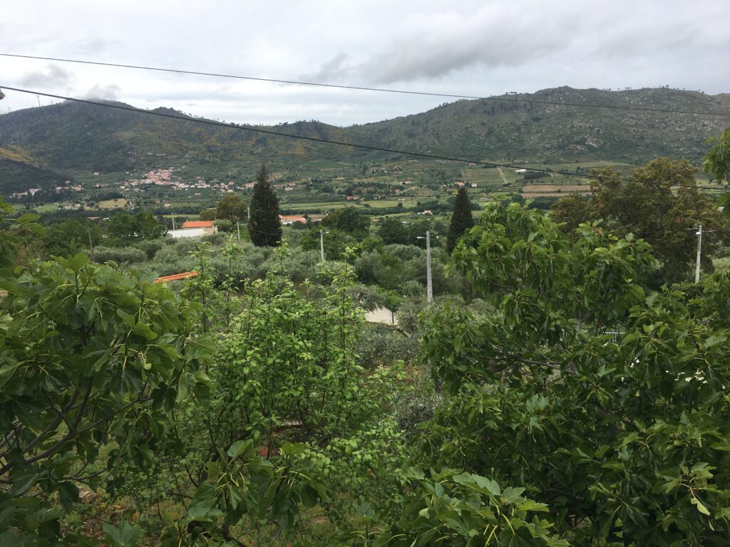 fonte: Cavadoude