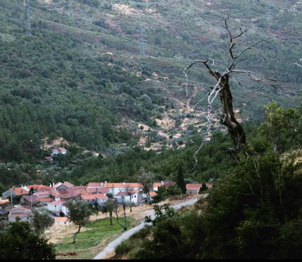 fonte: ramela