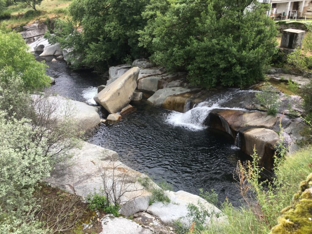 fonte: mizarela