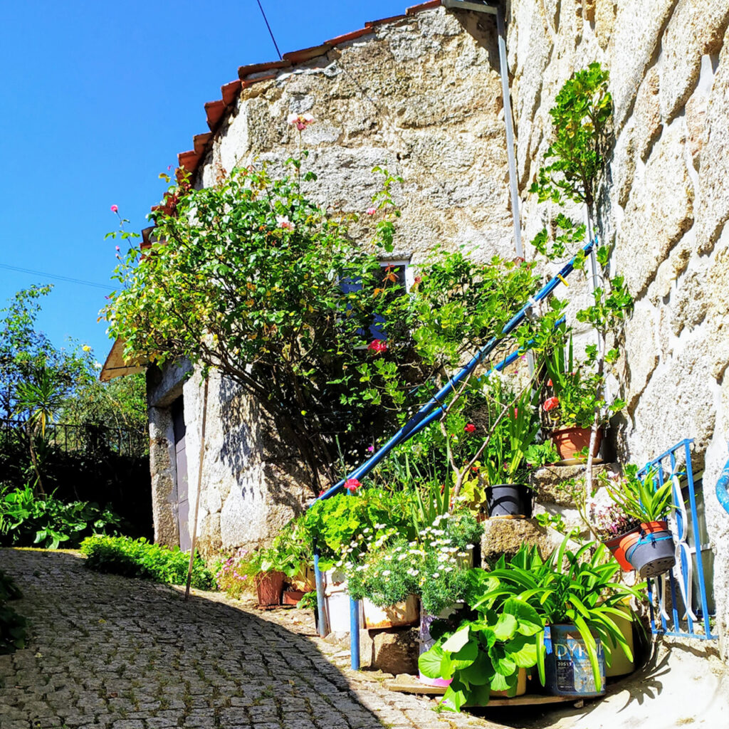fonte: sobral da serra