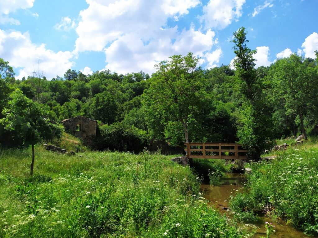fonte: rocamondo