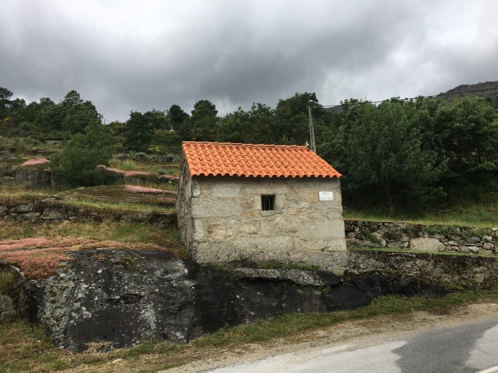 fonte: mizarela