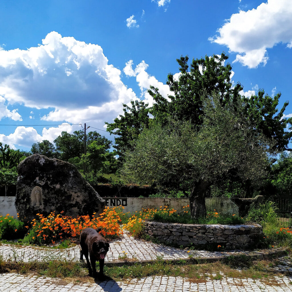 fonte: vila fernando