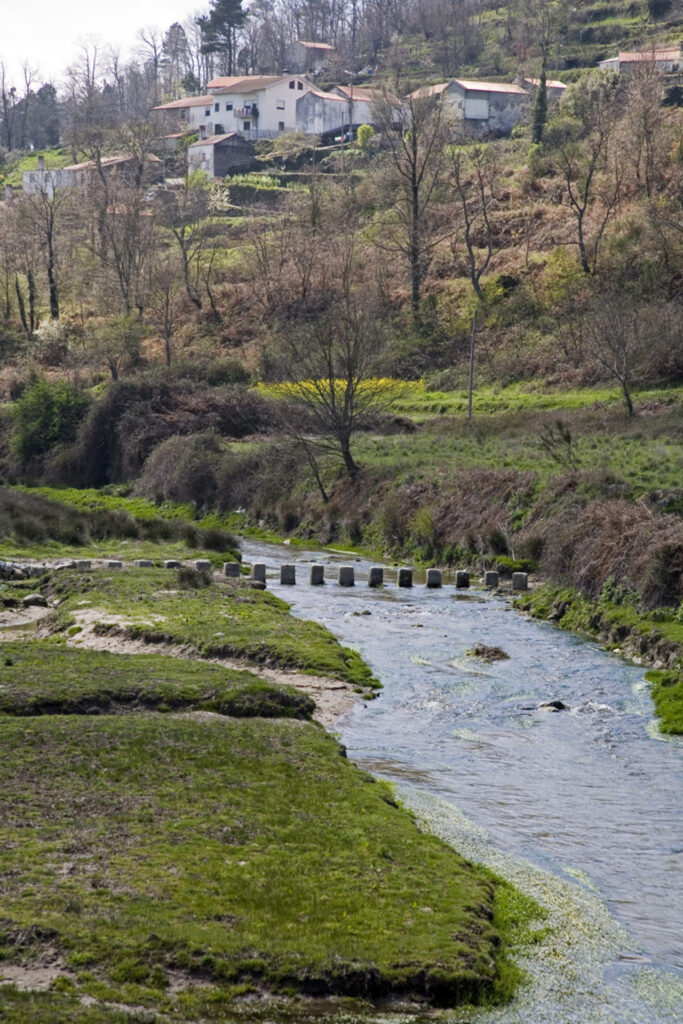fonte: corujeira