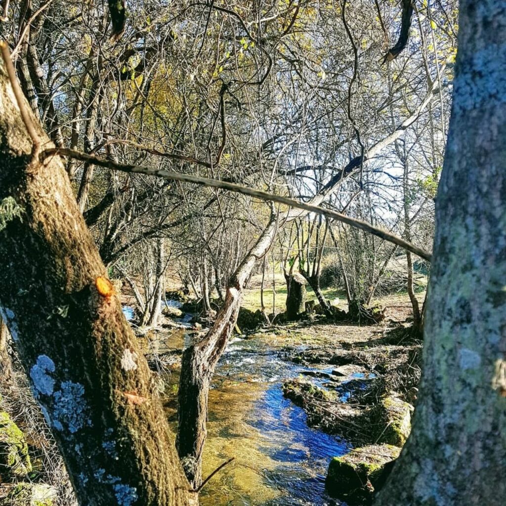 fonte: vale de estrela