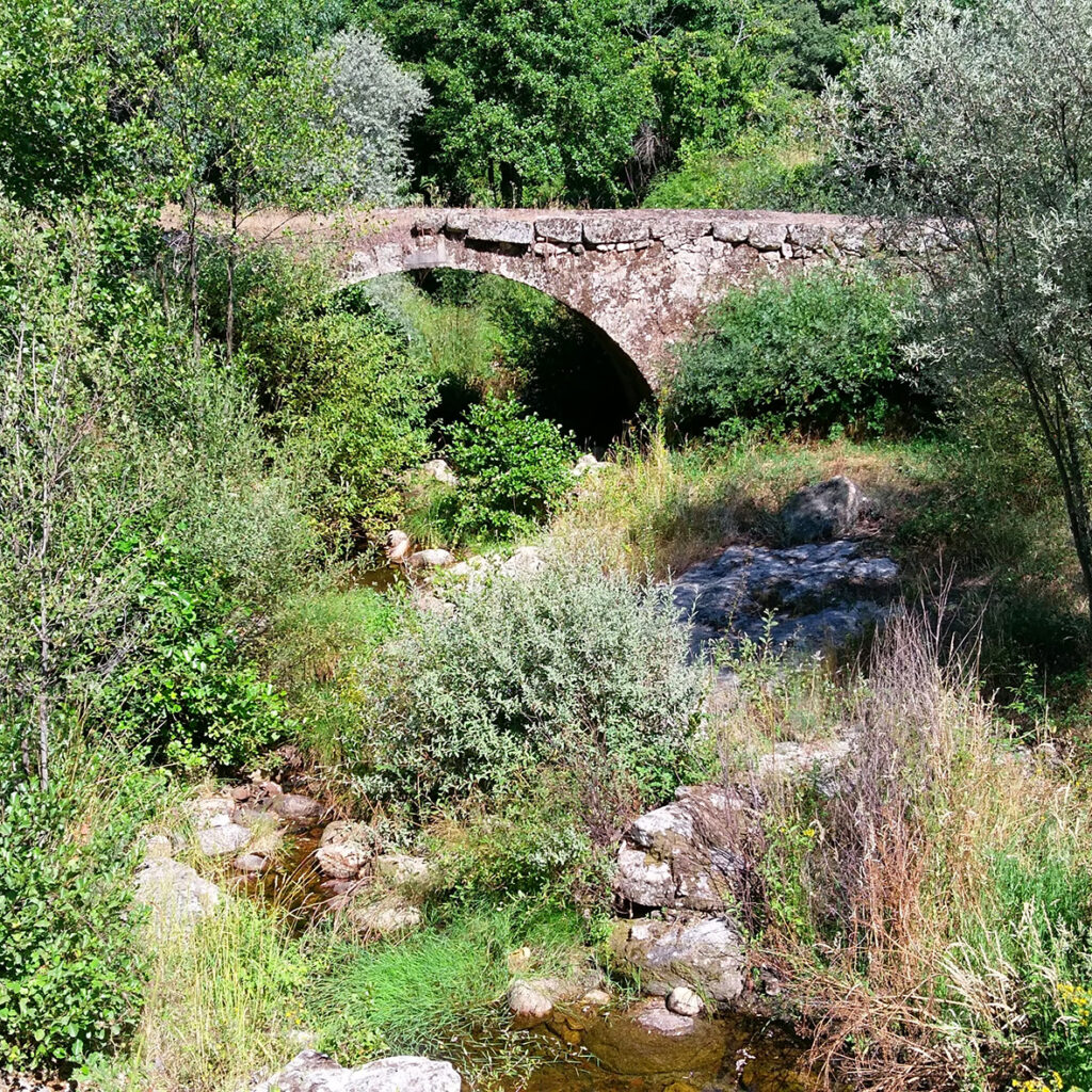 fonte: Benespera