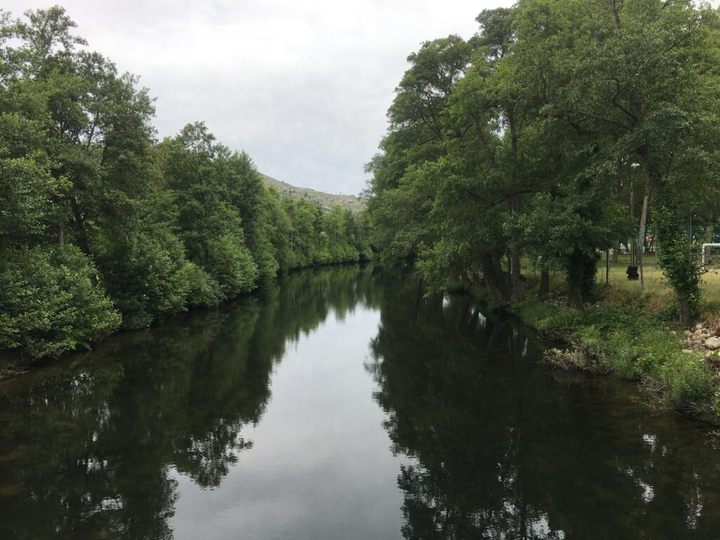 fonte: Aldeia Viçosa