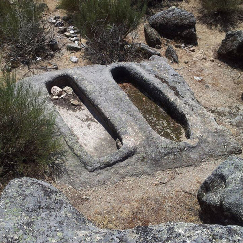 fonte: meios