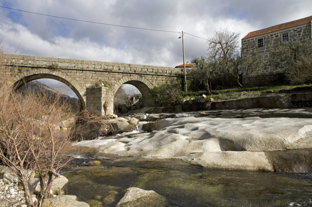 fonte: mizarela
