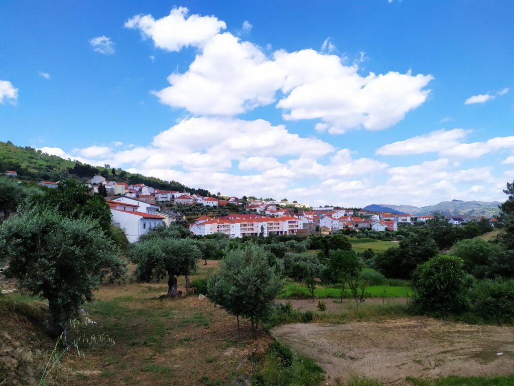 fonte: Gonçalo