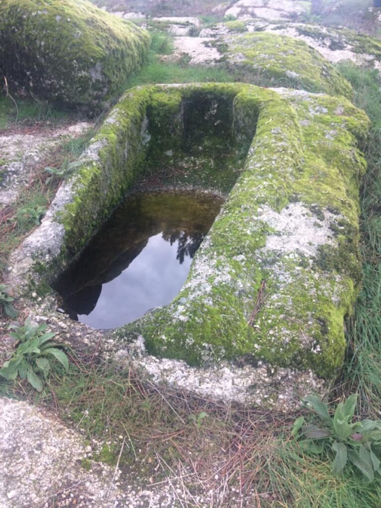 fonte: ramela