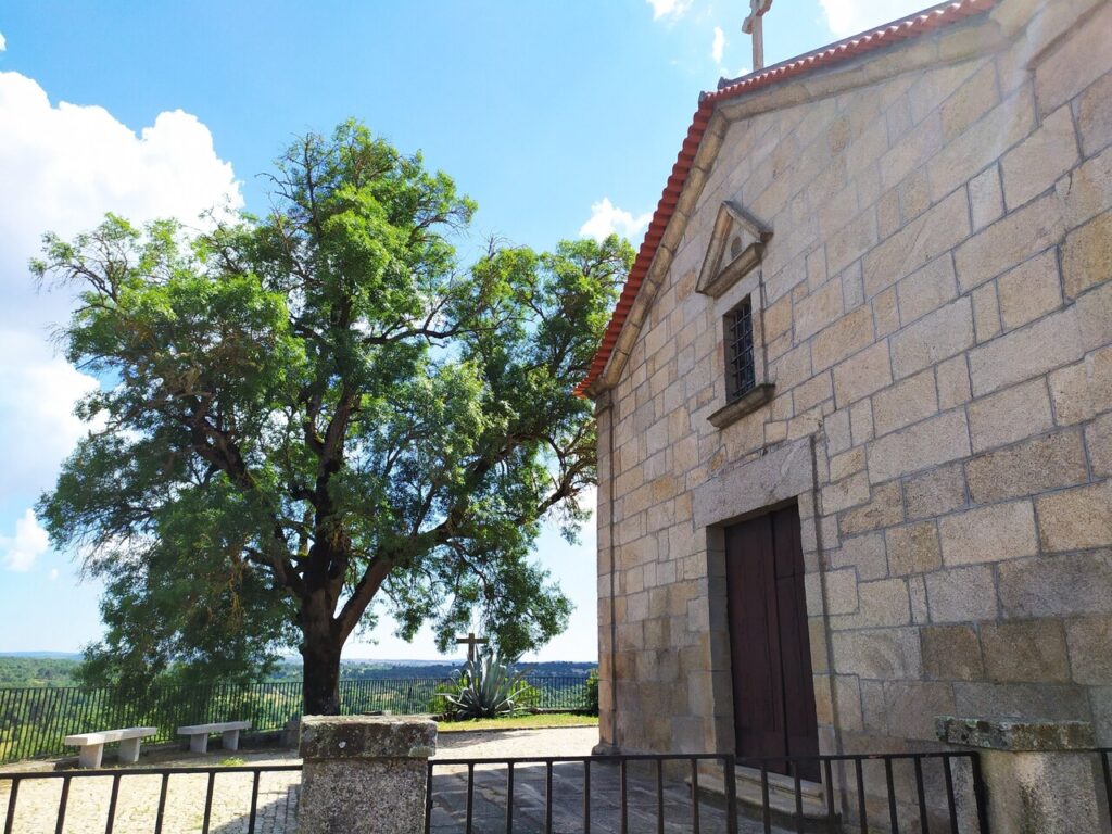 fonte: marmeleiro