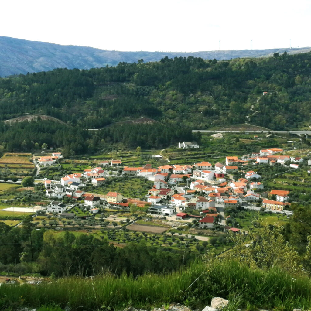 fonte: Benespera
