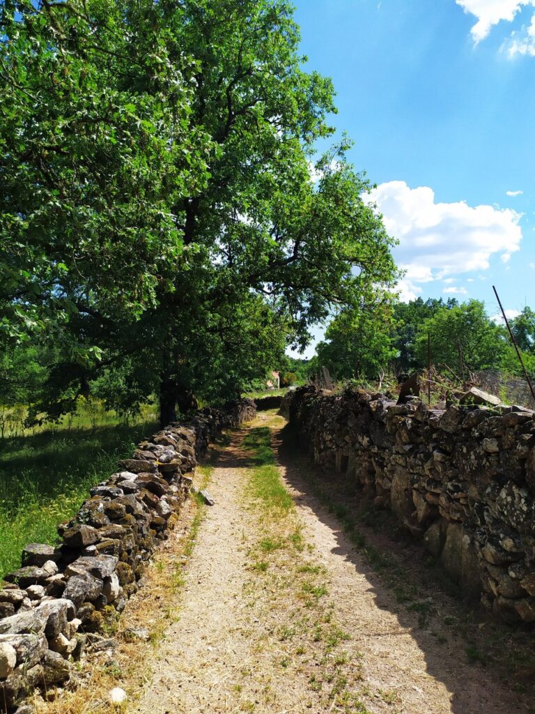 fonte: marmeleiro