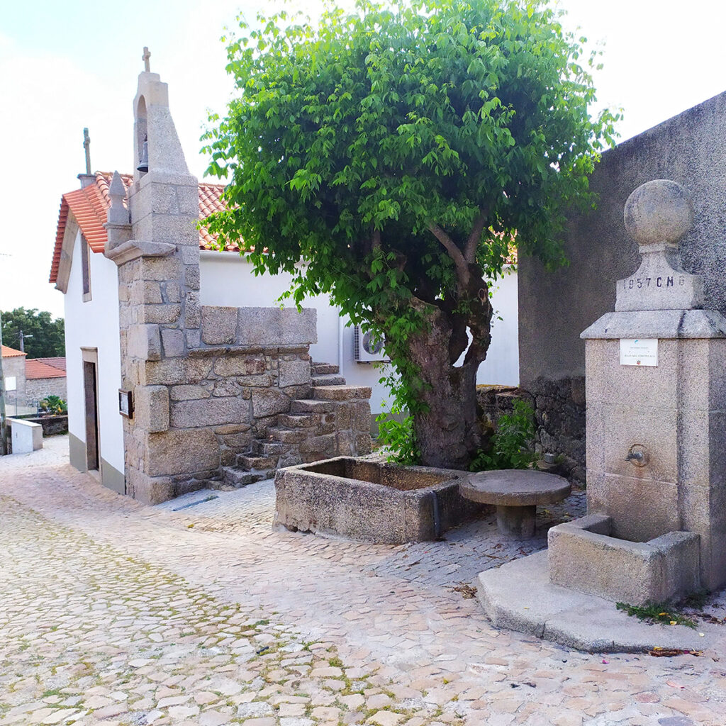 fonte: João Antão