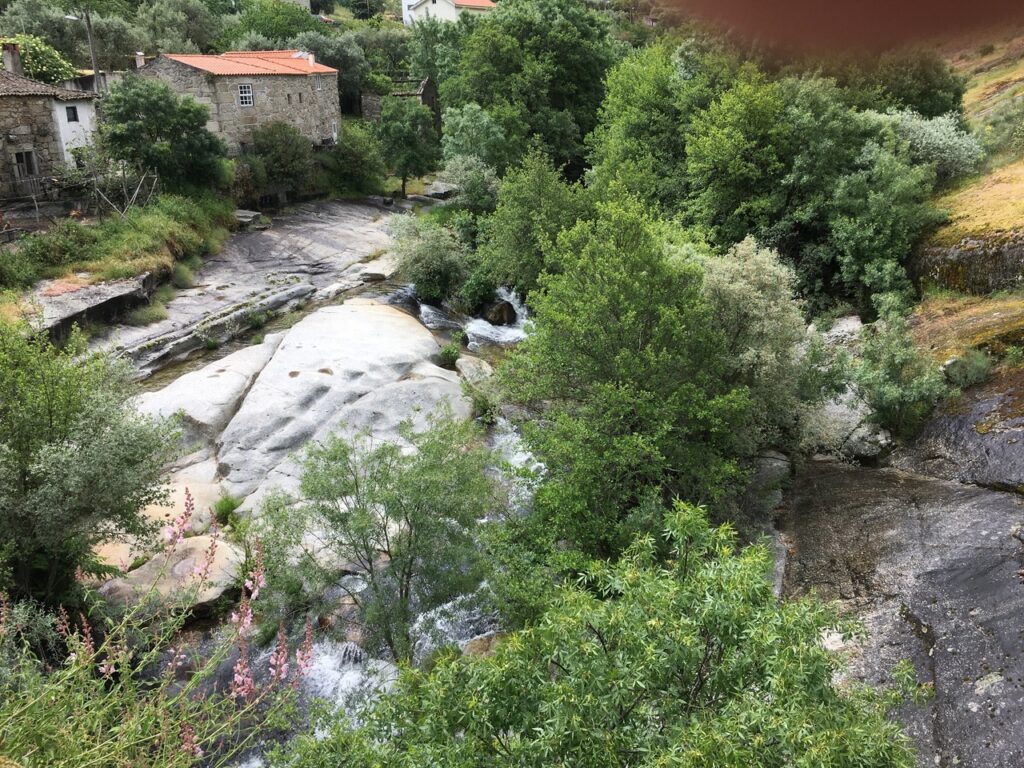fonte: mizarela