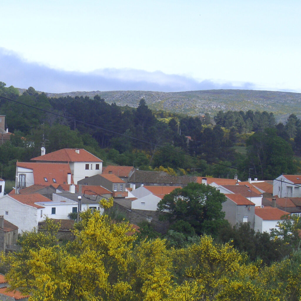 fonte: meios