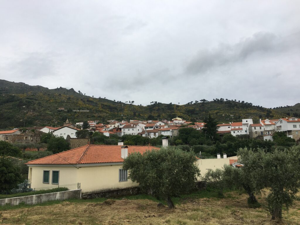 fonte: Aldeia Viçosa