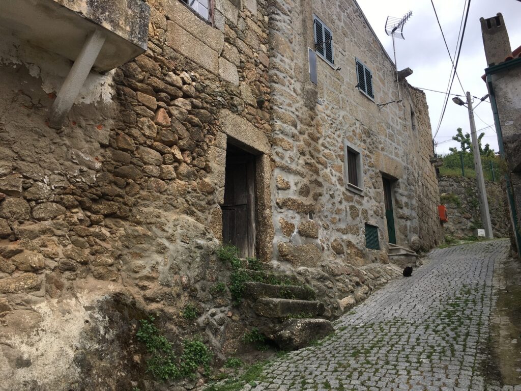 fonte: mizarela