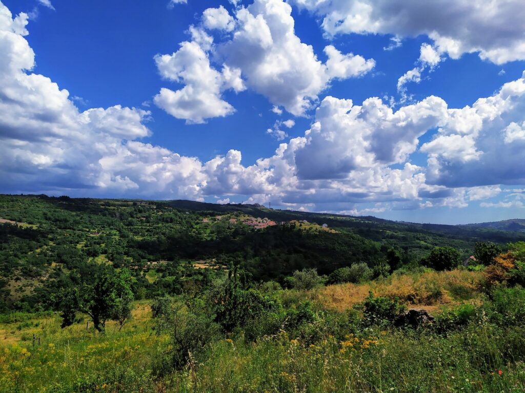 fonte: rocamondo