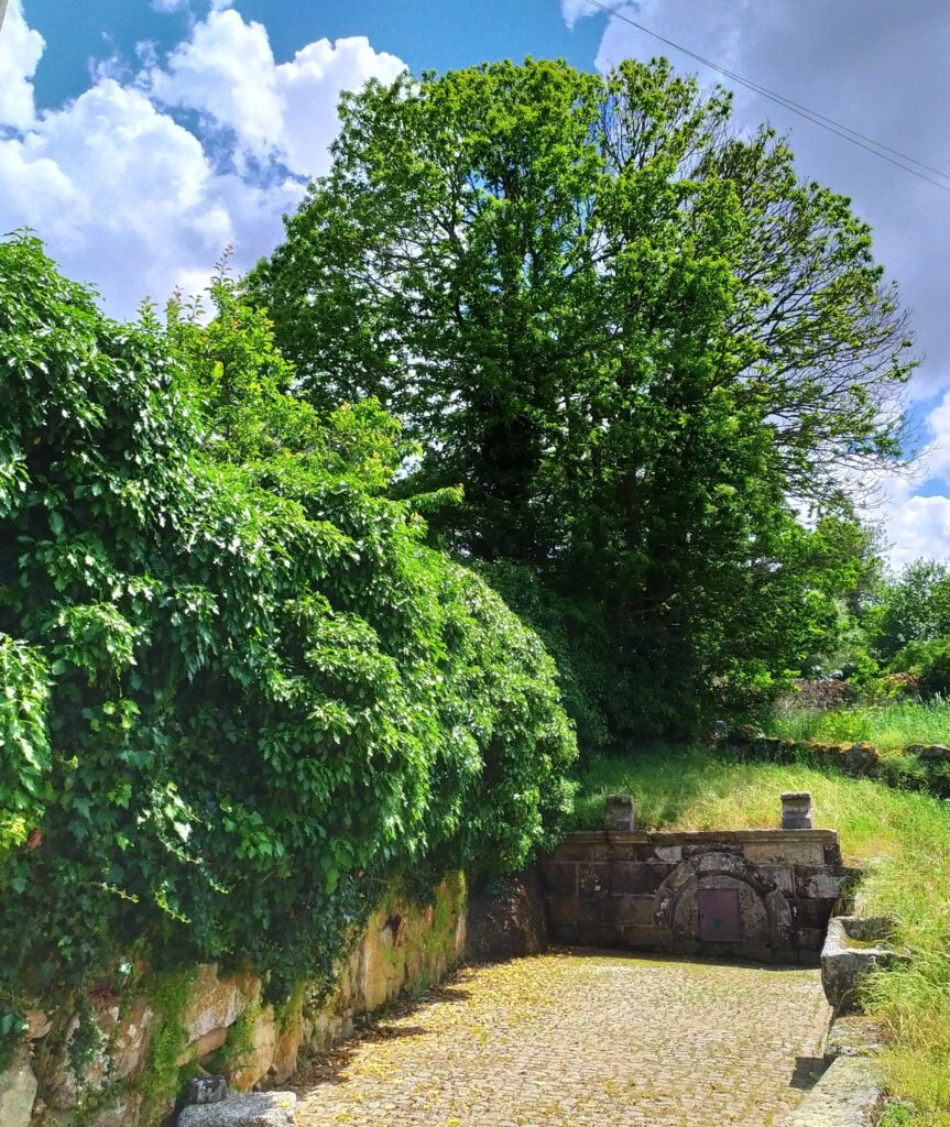 fonte: Alvendre
