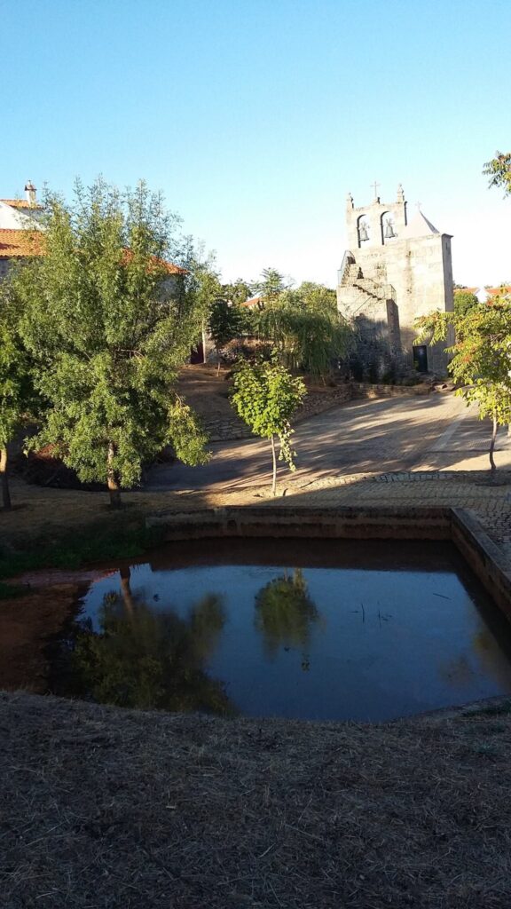 fonte: albardo