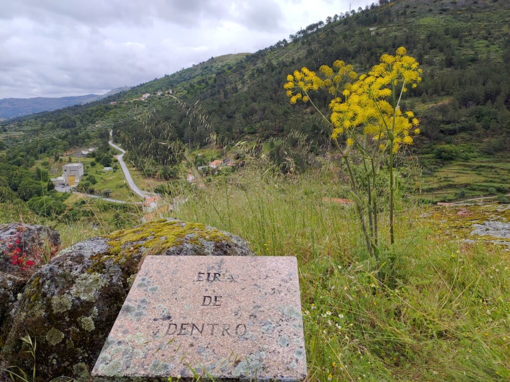 fonte: vila soeiro