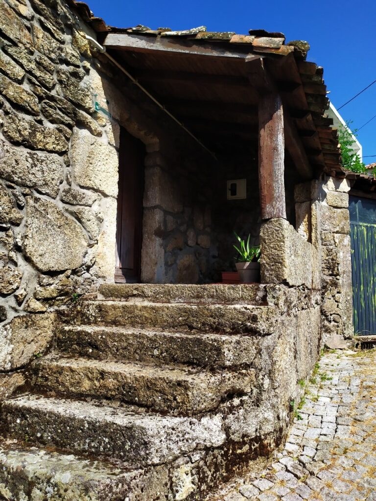 fonte: avelãs de ambom