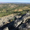 fonte: avelãs de ambom