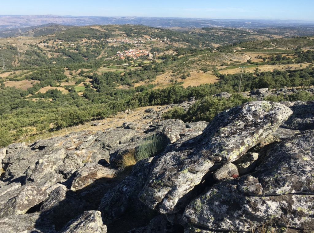 fonte: avelãs de ambom