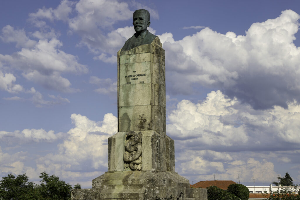 busto lopo de carvalho