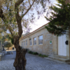 museu escola