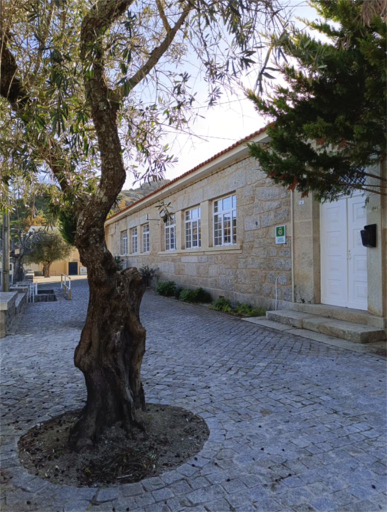 museu escola