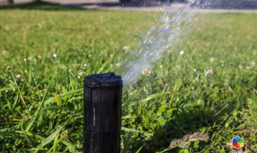 Município poupa no consumo de água na rega dos espaços verdes em 2025 com gestão eficiente
